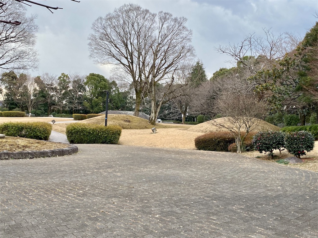 f:id:yokohamamiuken:20220121101133j:image f:id:yokohamamiuken:20220121101133j:image
