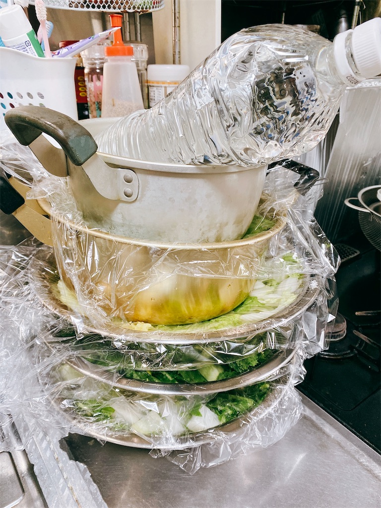 f:id:yokohamamiuken:20220304235833j:image