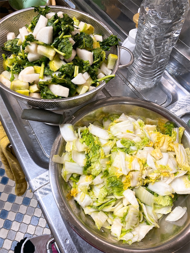 f:id:yokohamamiuken:20220304235848j:image