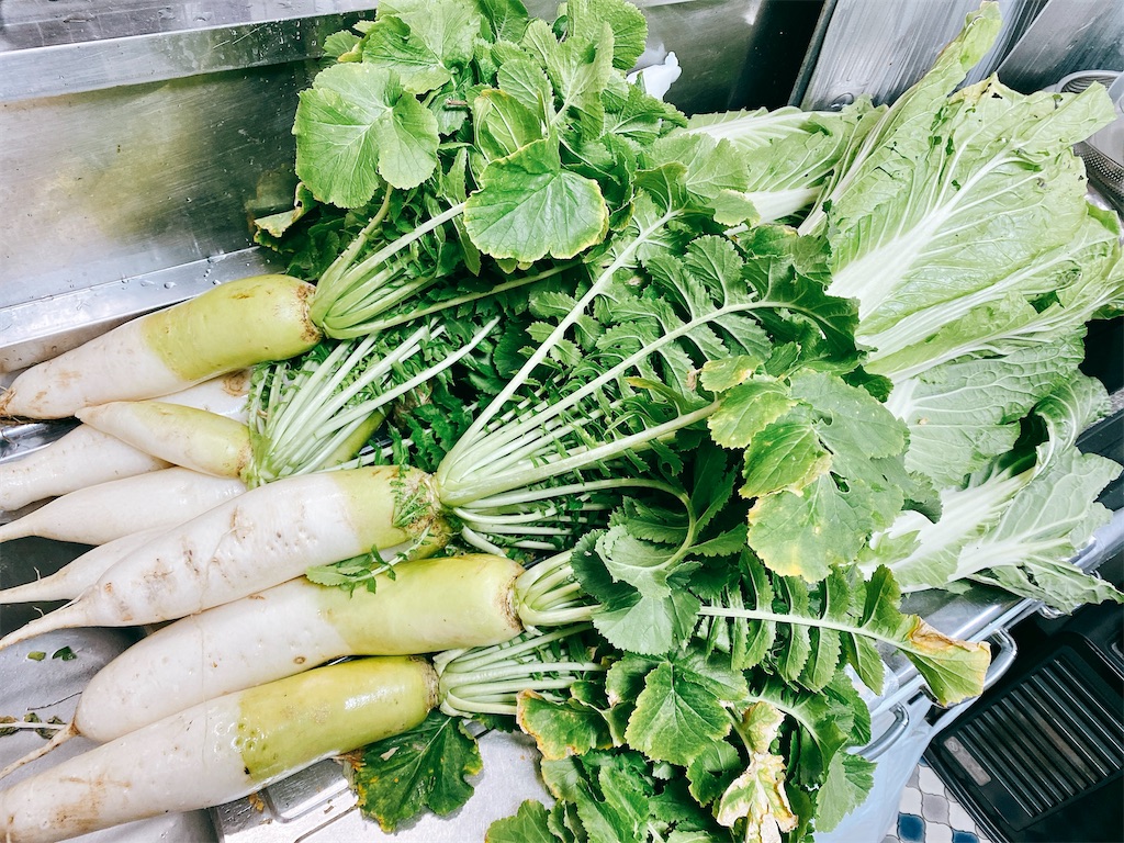 f:id:yokohamamiuken:20220304235851j:image