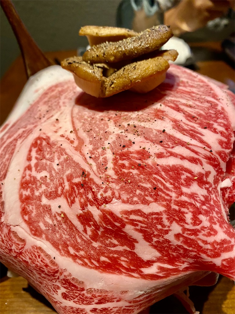 f:id:yokohamamiuken:20220620231959j:image