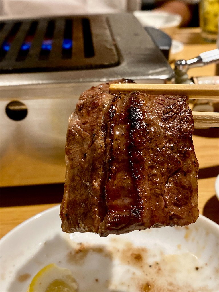 f:id:yokohamamiuken:20220621205103j:image