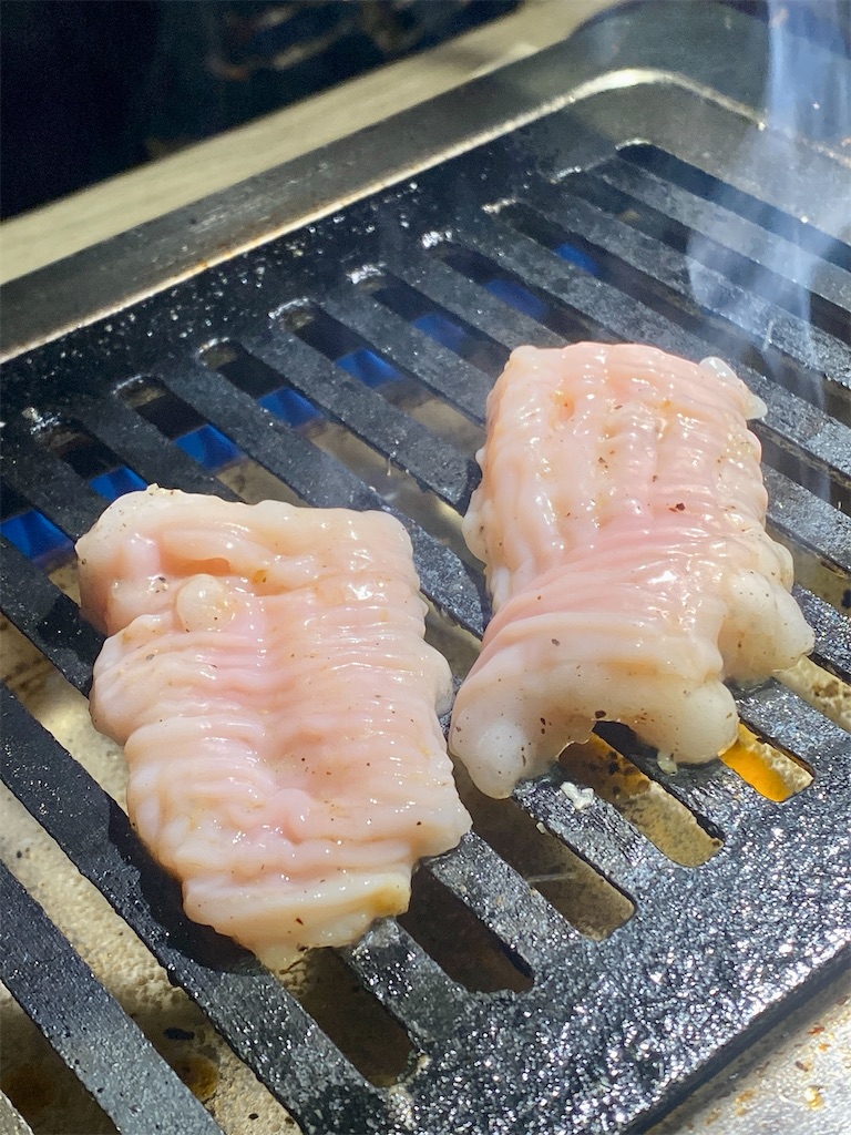 f:id:yokohamamiuken:20220720221245j:image