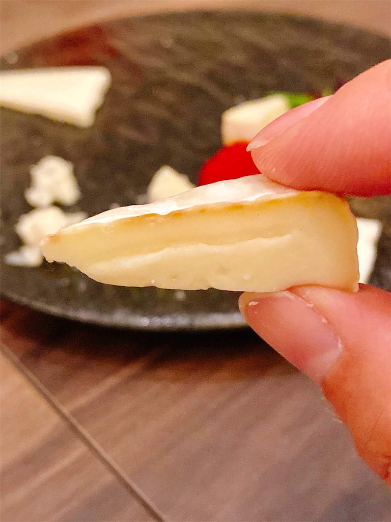 f:id:yokohamamiuken:20221109230533j:image