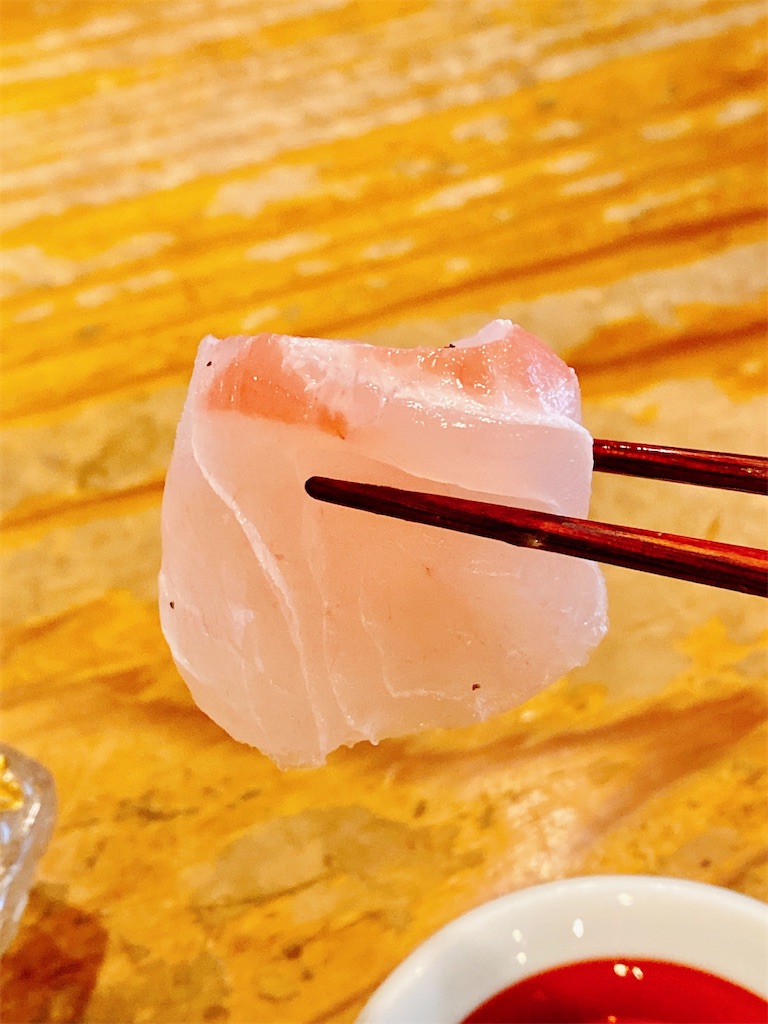 f:id:yokohamamiuken:20230506134726j:image