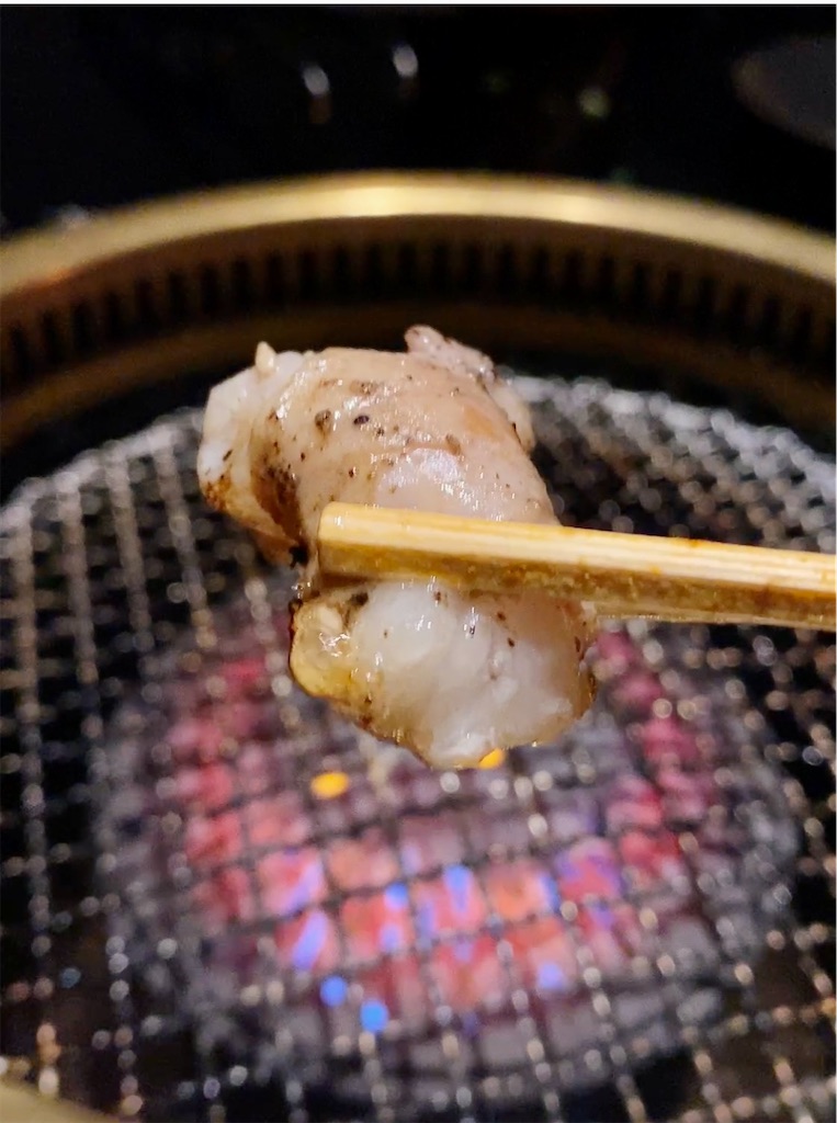 f:id:yokohamamiuken:20230629221427j:image