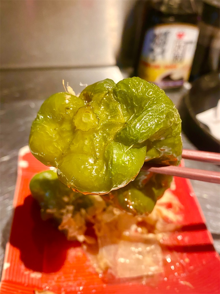 f:id:yokohamamiuken:20231011213151j:image