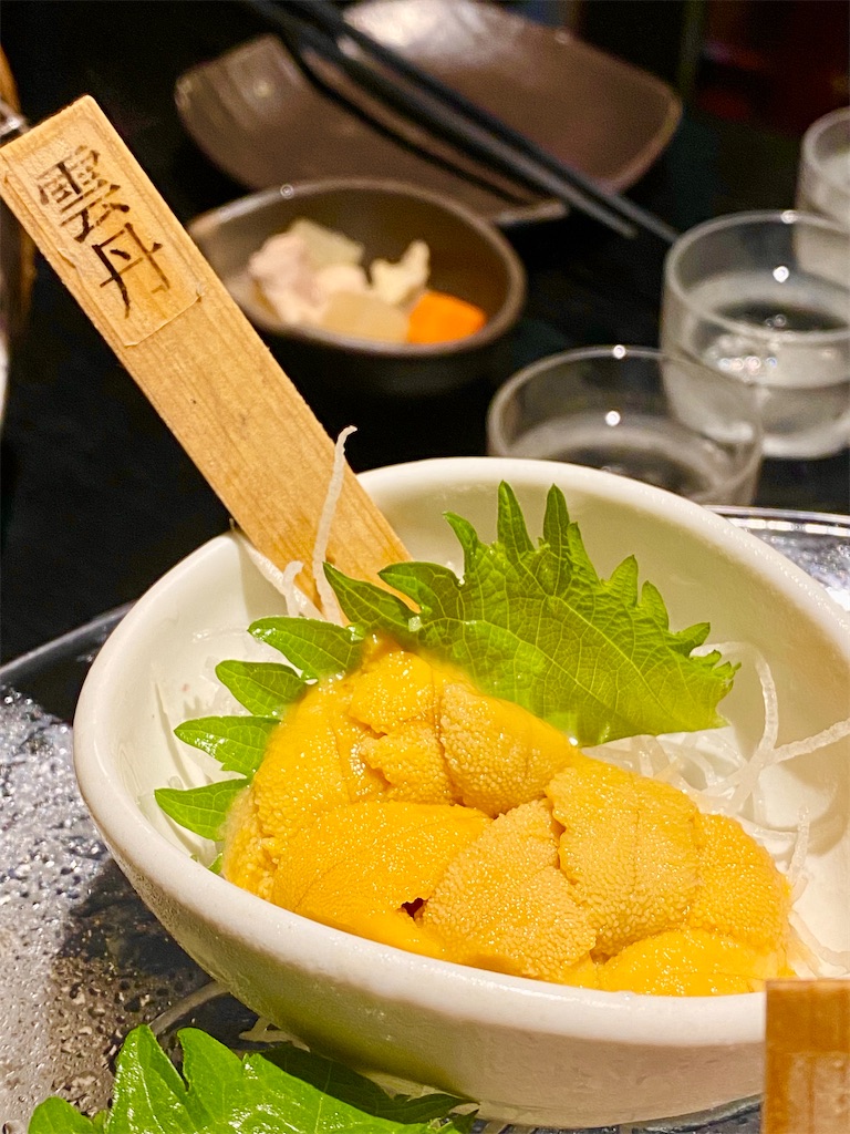 f:id:yokohamamiuken:20240612224301j:image