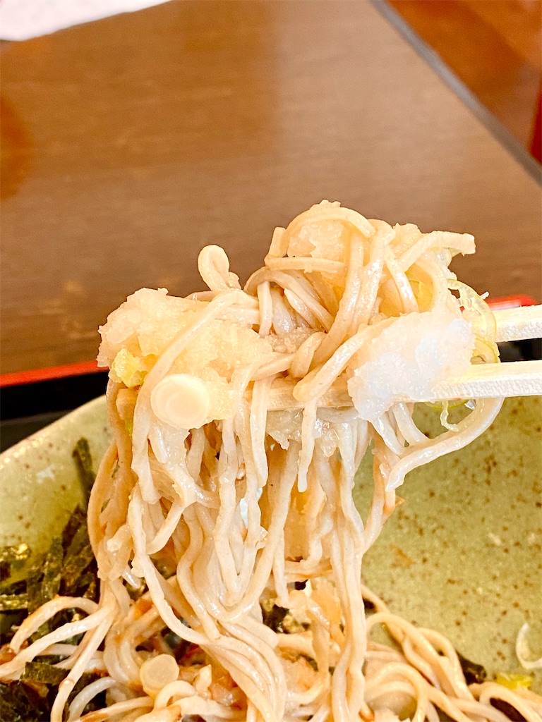 f:id:yokohamamiuken:20240613173105j:image