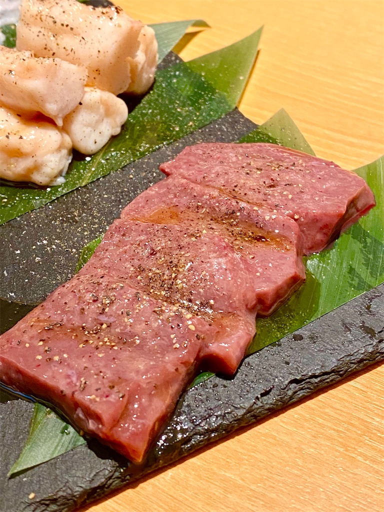 f:id:yokohamamiuken:20240625172836j:image