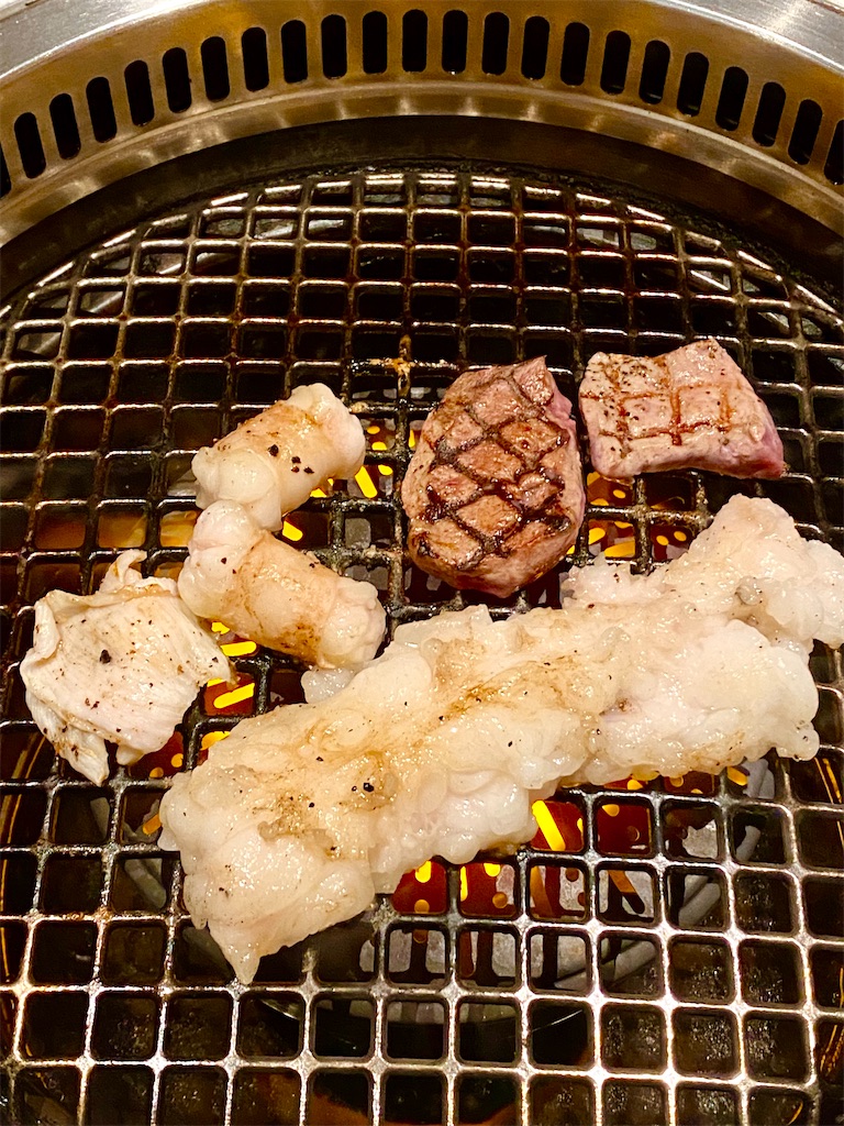 f:id:yokohamamiuken:20240625172857j:image