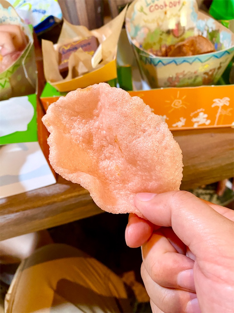 f:id:yokohamamiuken:20240921063312j:image