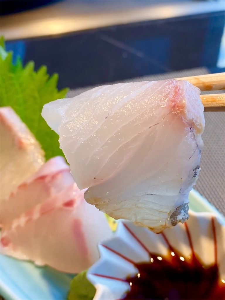 f:id:yokohamamiuken:20250105101828j:image