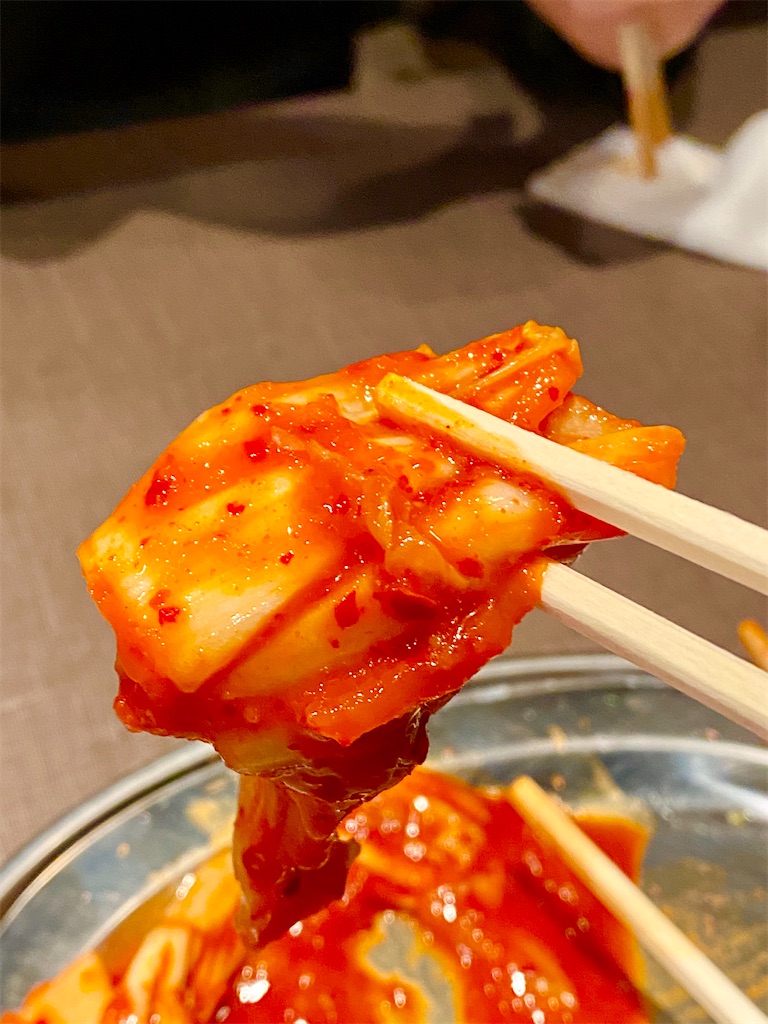 f:id:yokohamamiuken:20250203004505j:image