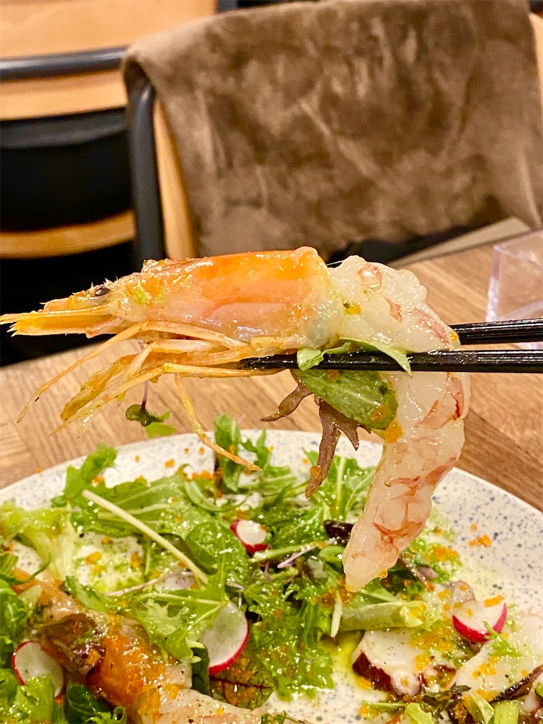 f:id:yokohamamiuken:20250218162237j:image