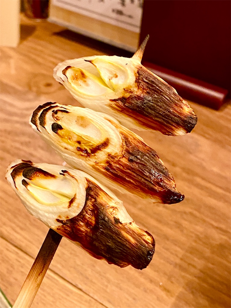 f:id:yokohamamiuken:20250221234953j:image