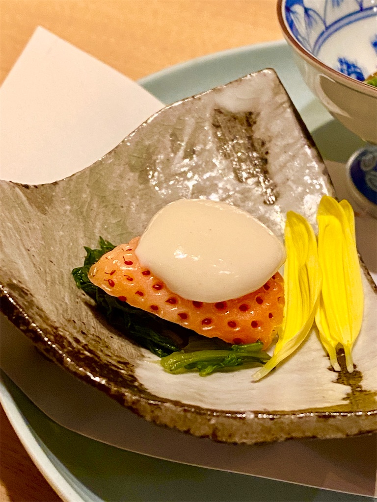 f:id:yokohamamiuken:20250226224911j:image