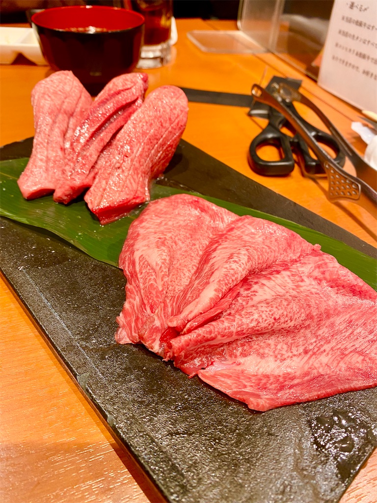 f:id:yokohamamiuken:20250315205931j:image