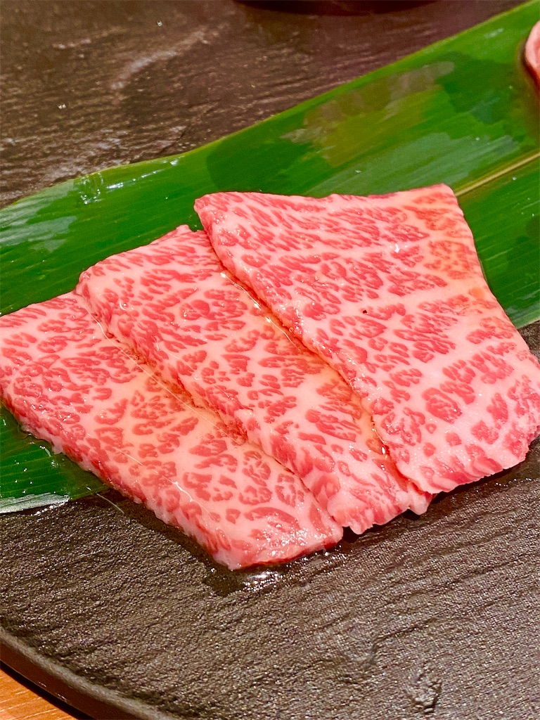 f:id:yokohamamiuken:20250315210028j:image