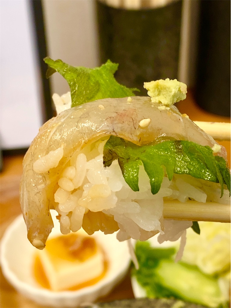 f:id:yokohamamiuken:20250409183340j:image