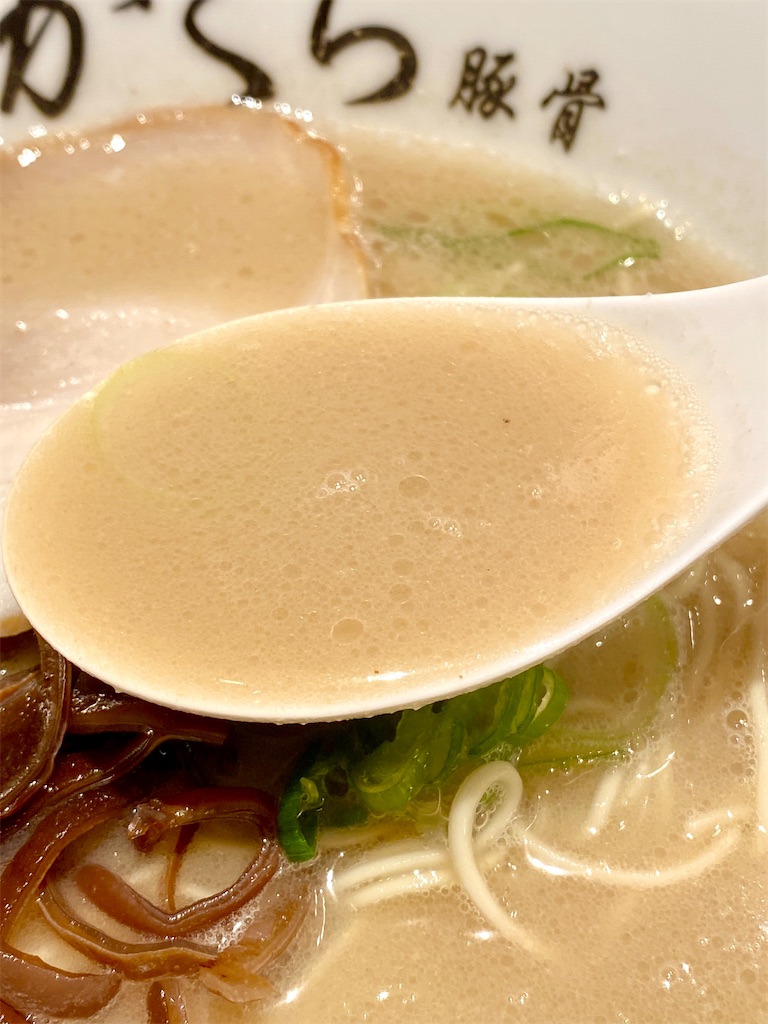 f:id:yokohamamiuken:20250421222308j:image