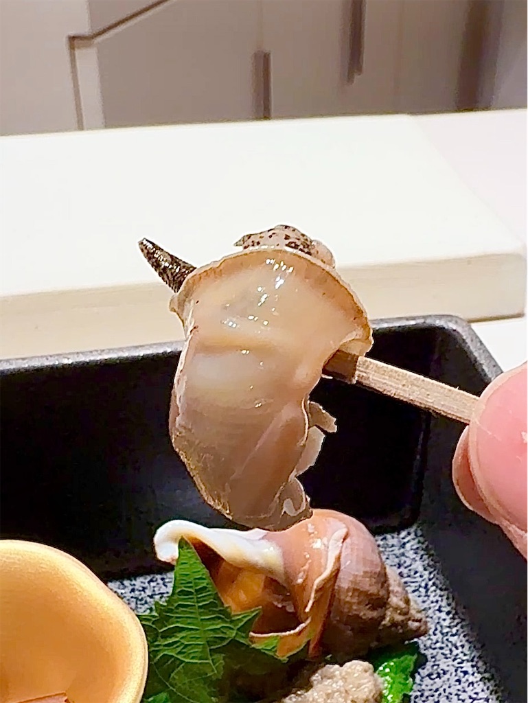 f:id:yokohamamiuken:20250424093901j:image