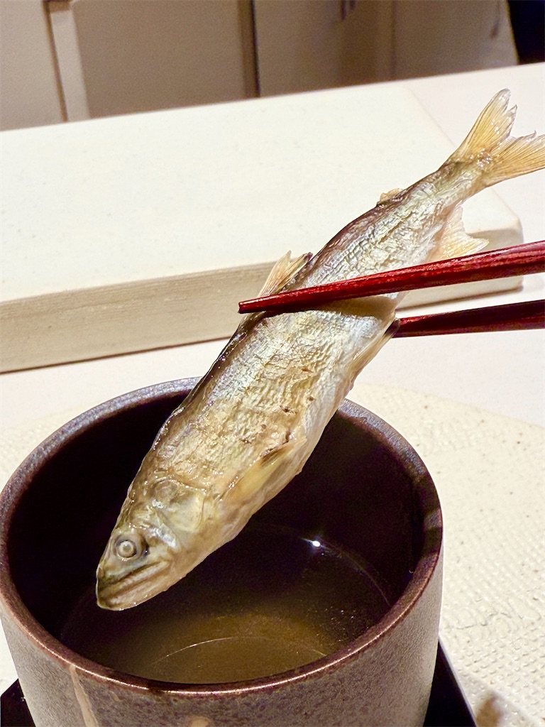 f:id:yokohamamiuken:20250424094009j:image