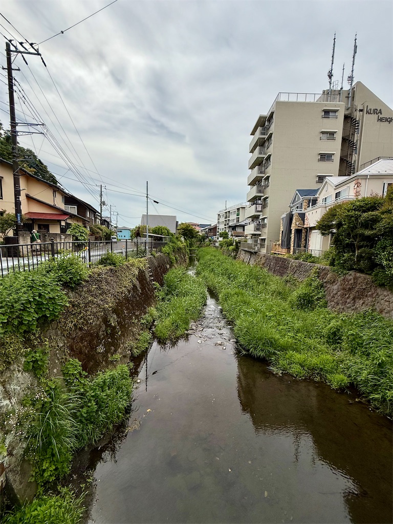 f:id:yokohamamiuken:20250517083251j:image