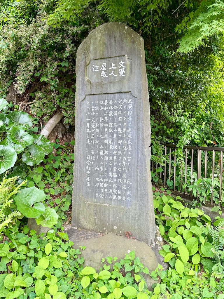 f:id:yokohamamiuken:20250517083259j:image