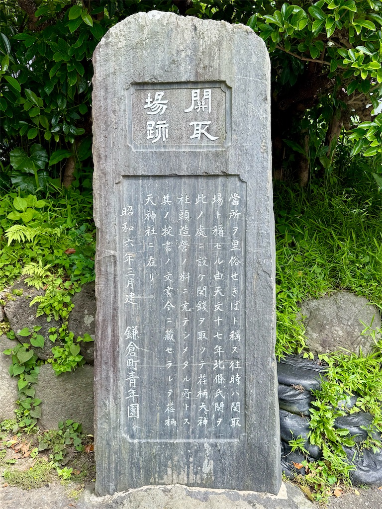 f:id:yokohamamiuken:20250517083359j:image