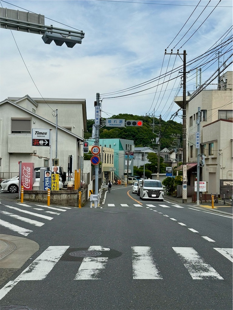 f:id:yokohamamiuken:20250517083405j:image