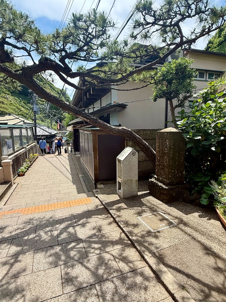 f:id:yokohamamiuken:20250517083617j:image