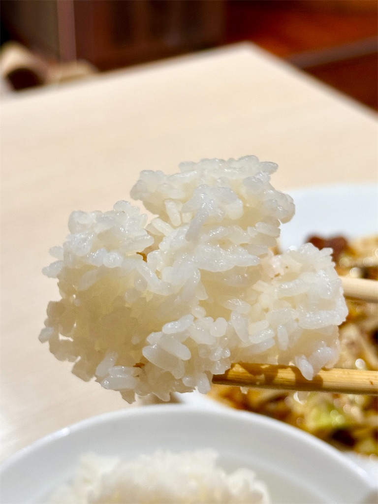 f:id:yokohamamiuken:20250528073657j:image