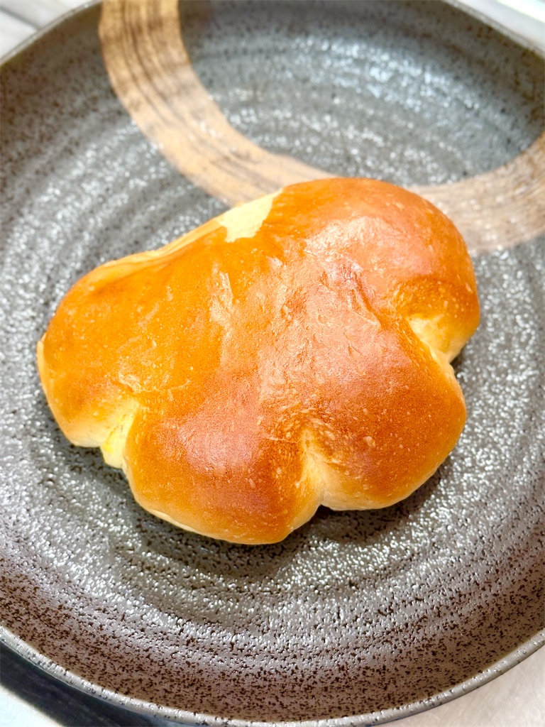 f:id:yokohamamiuken:20250531055100j:image
