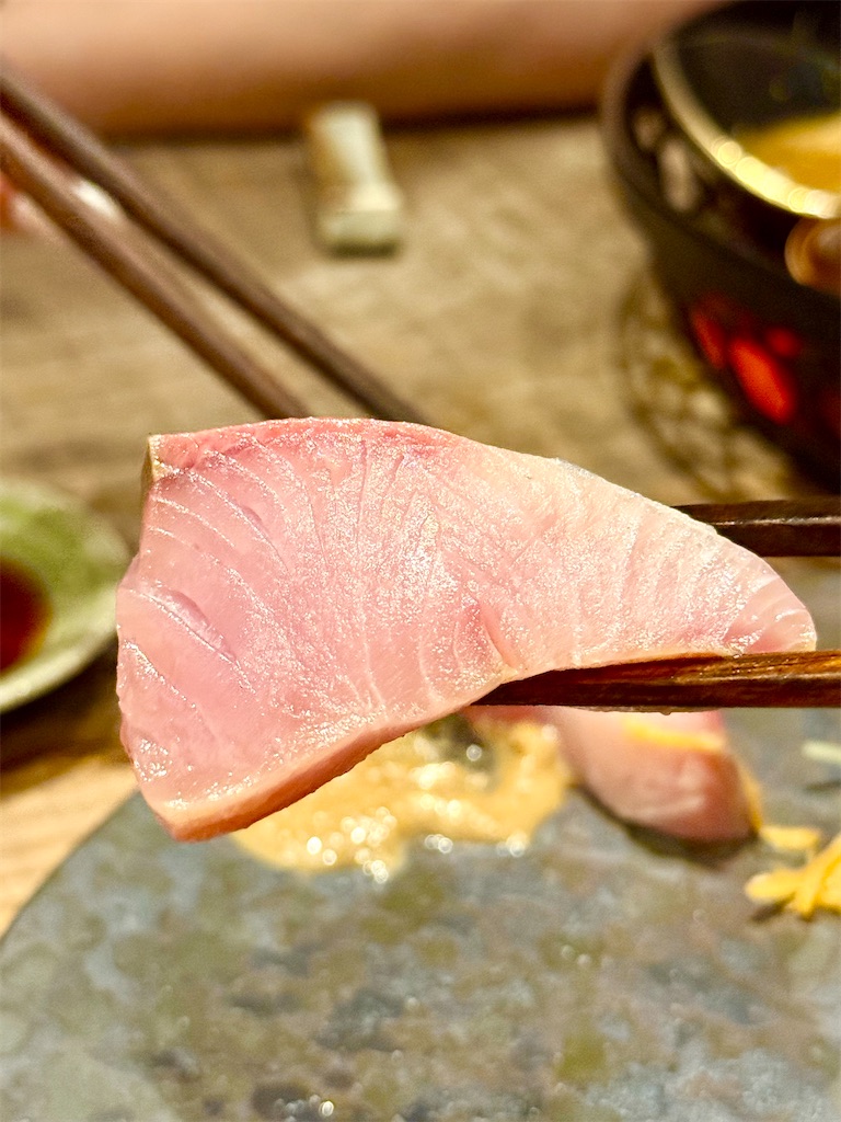 f:id:yokohamamiuken:20250606095703j:image