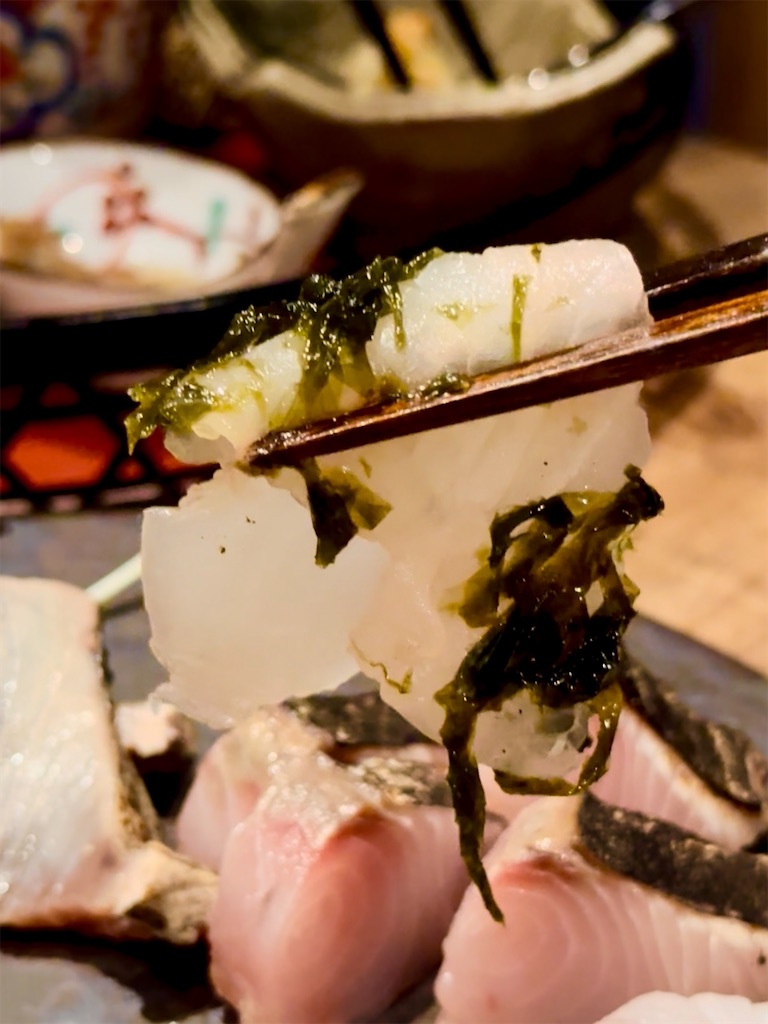 f:id:yokohamamiuken:20250606100005j:image
