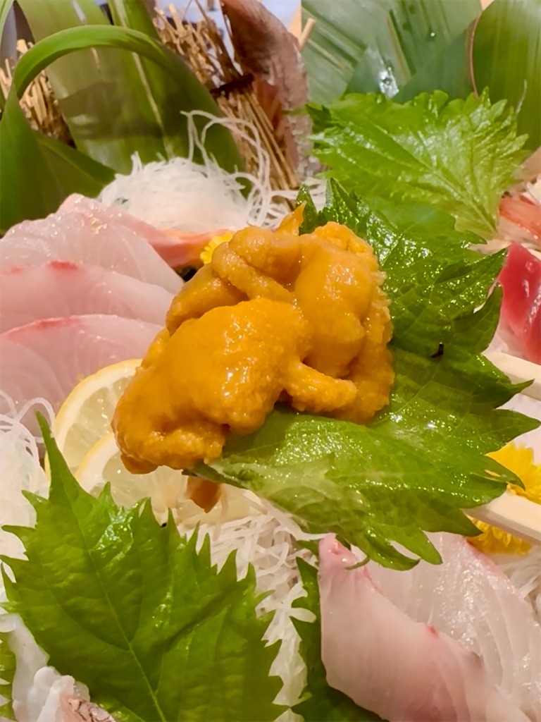 f:id:yokohamamiuken:20250609070008j:image