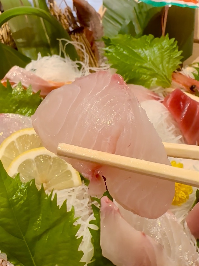f:id:yokohamamiuken:20250609070012j:image