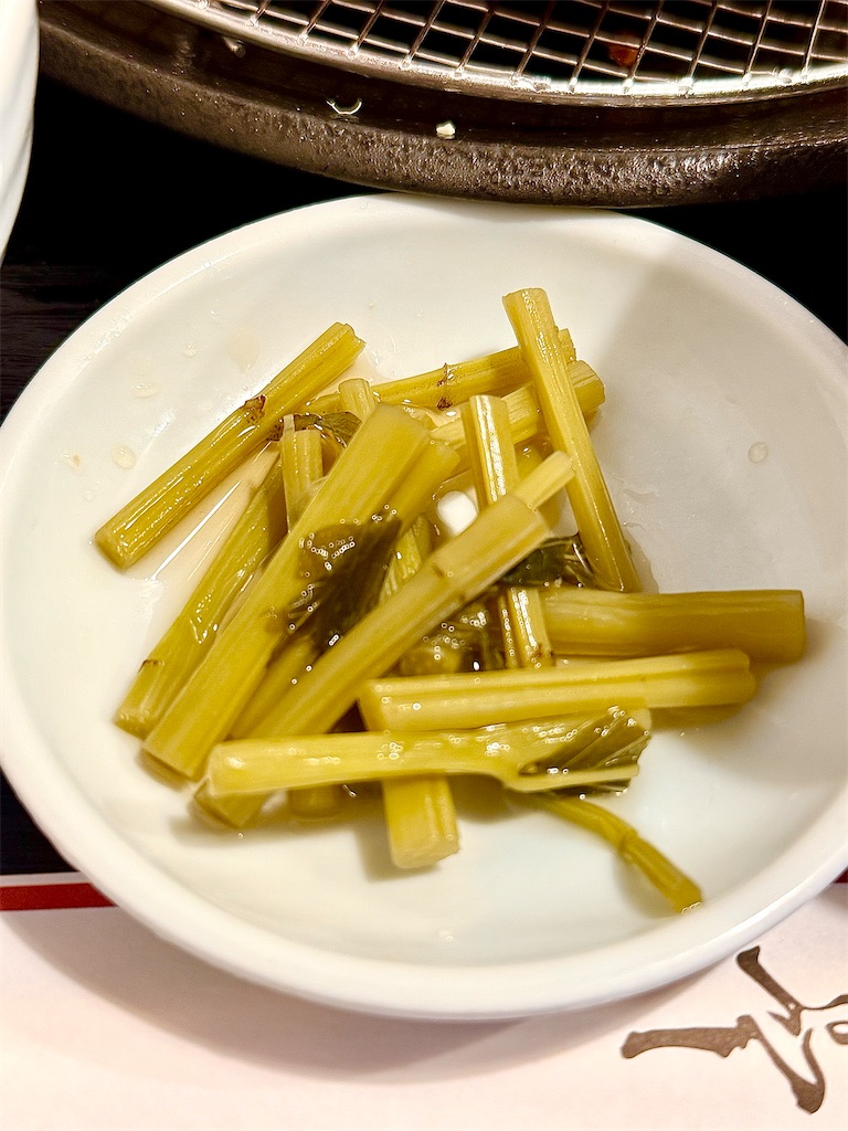 f:id:yokohamamiuken:20250611115418j:image