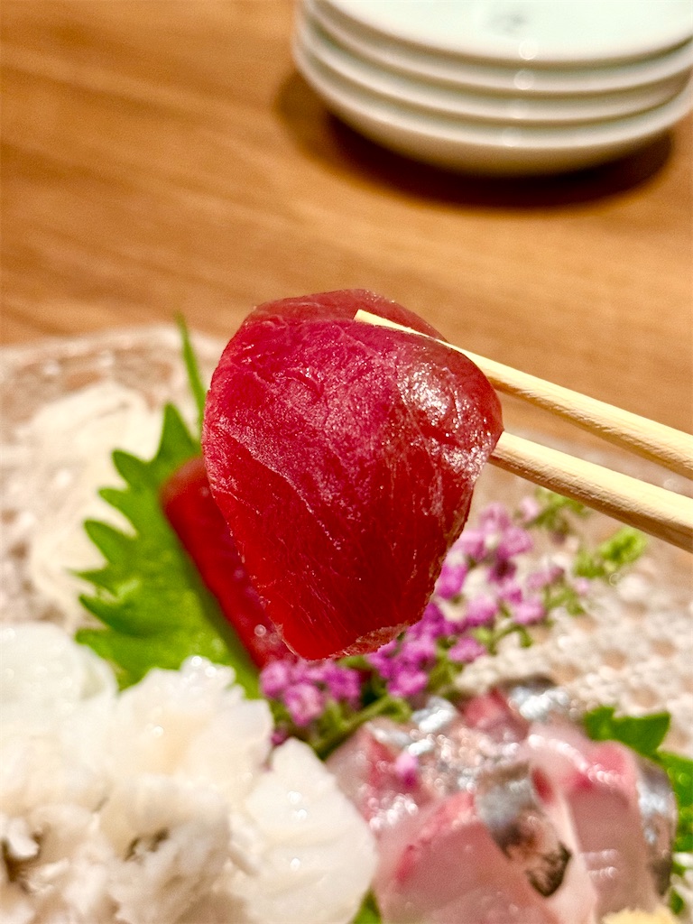 f:id:yokohamamiuken:20250628233435j:image