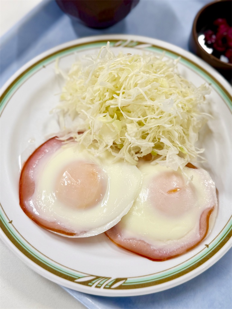 f:id:yokohamamiuken:20250703095552j:image