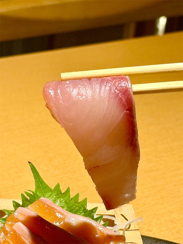 f:id:yokohamamiuken:20250730084947j:image