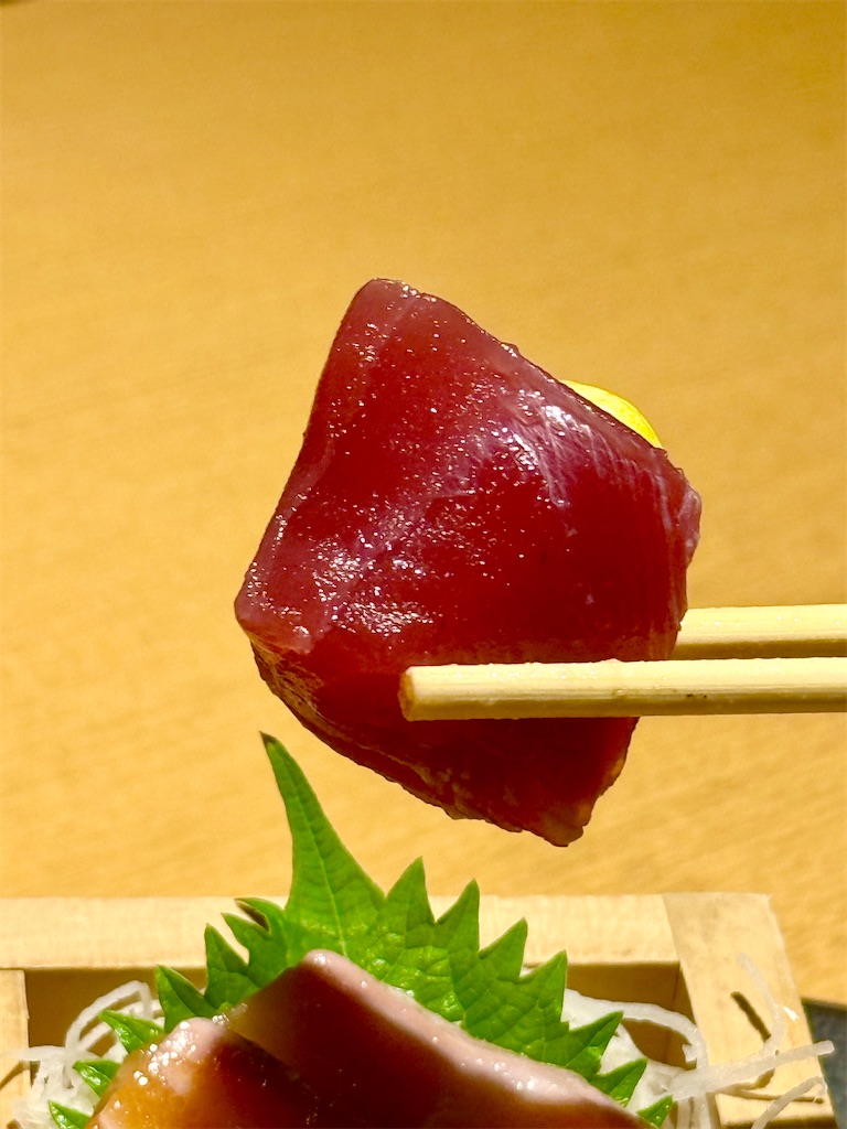 f:id:yokohamamiuken:20250730084954j:image