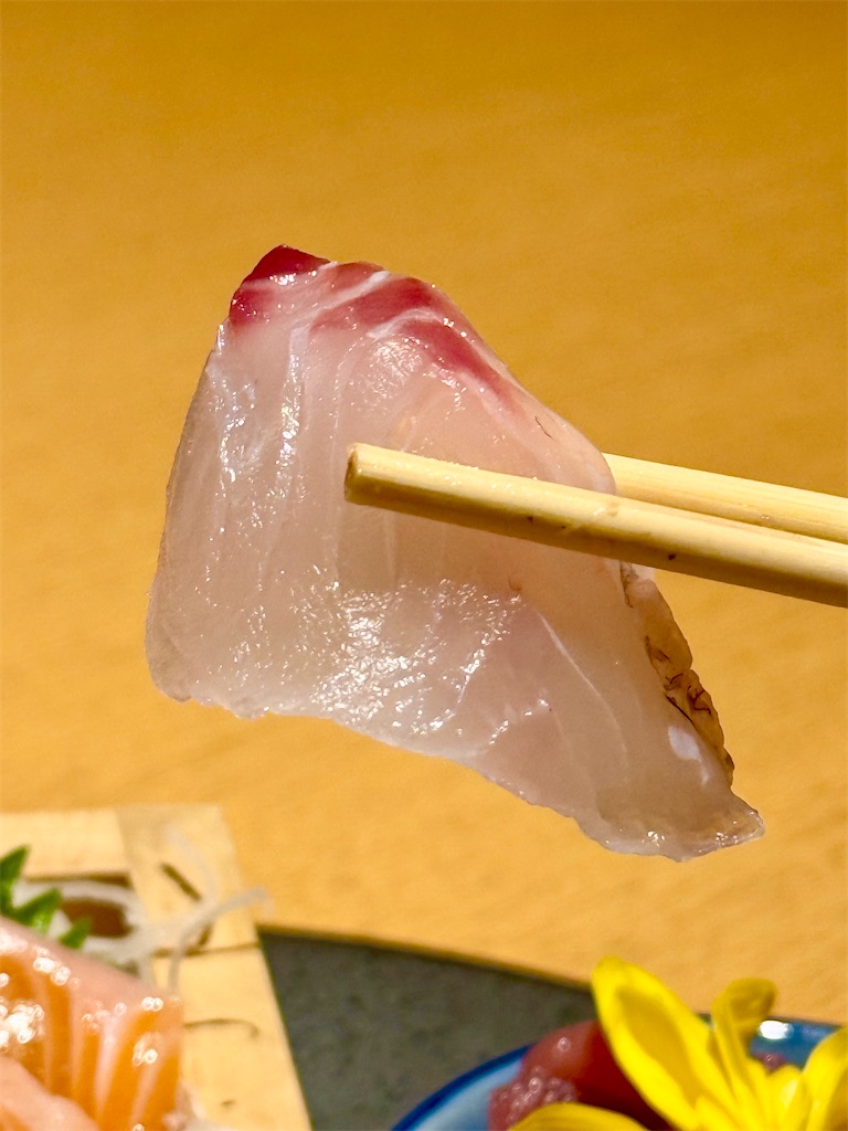 f:id:yokohamamiuken:20250730084957j:image