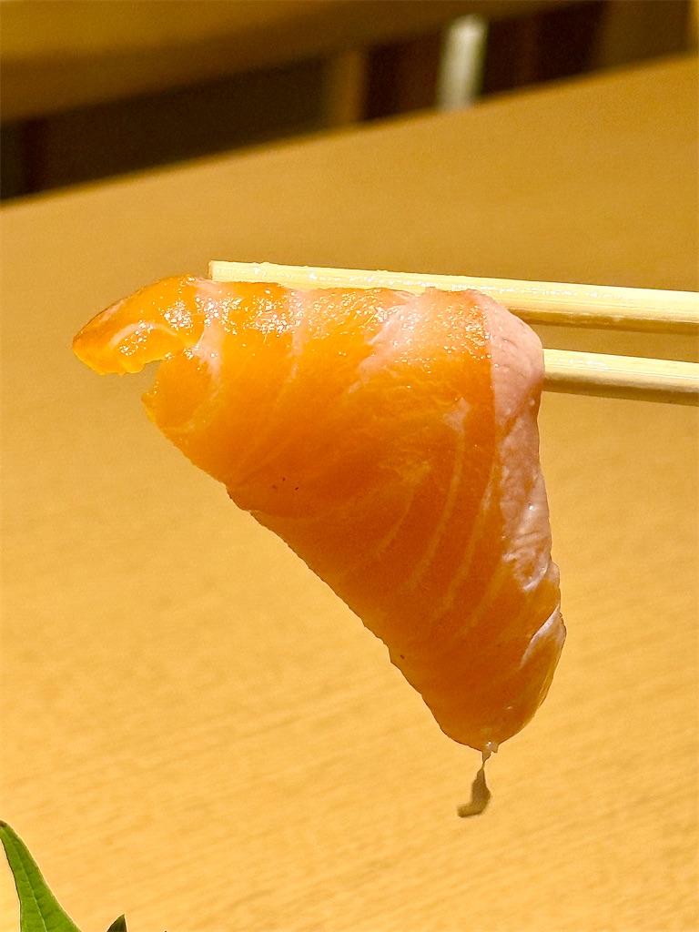 f:id:yokohamamiuken:20250730085213j:image