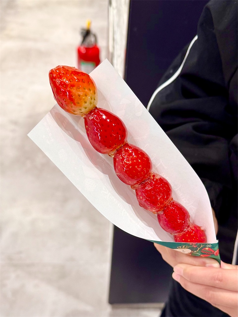 f:id:yokohamamiuken:20251208090923j:image