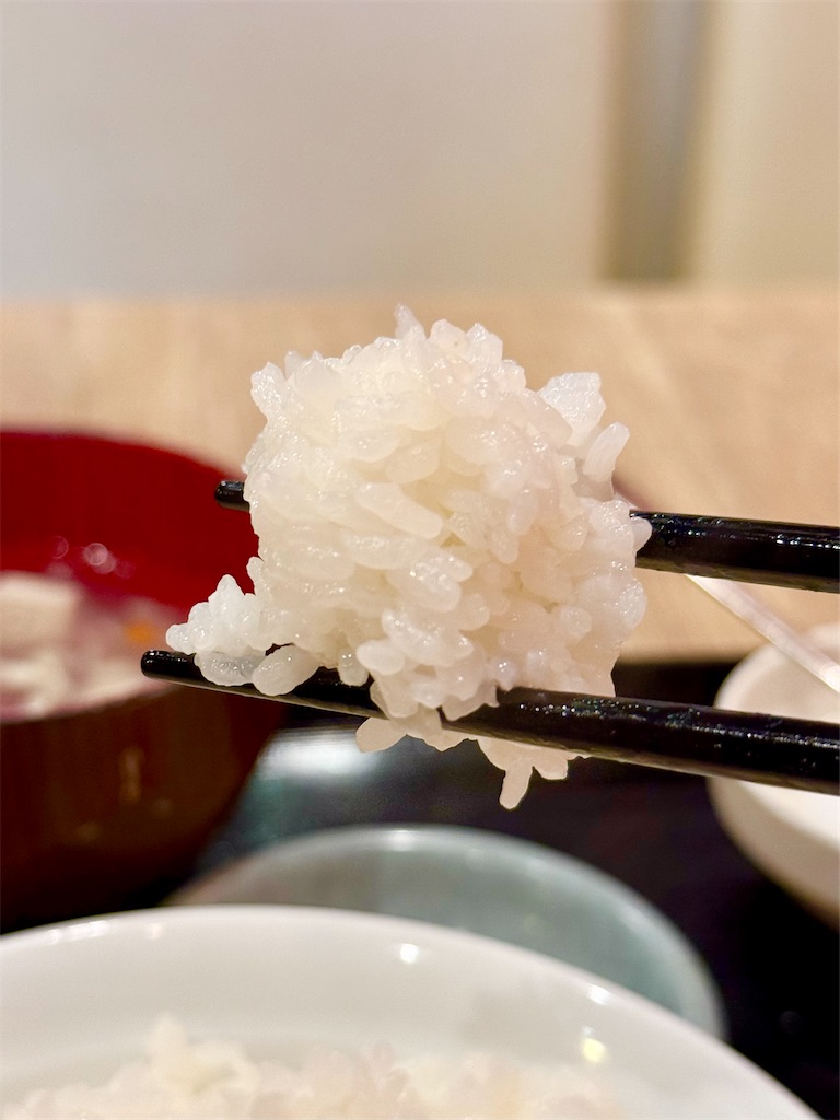 f:id:yokohamamiuken:20260508151128j:image f:id:yokohamamiuken:20260508151128j:image