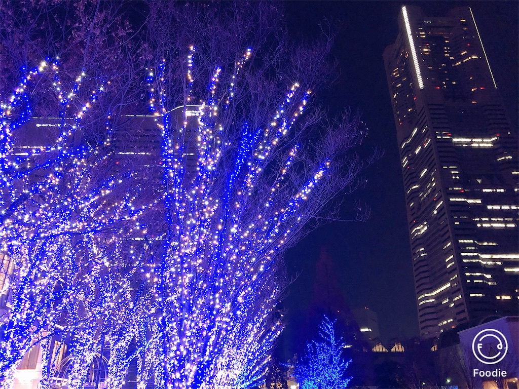 f:id:yokohamamura:20191222022149j:image
