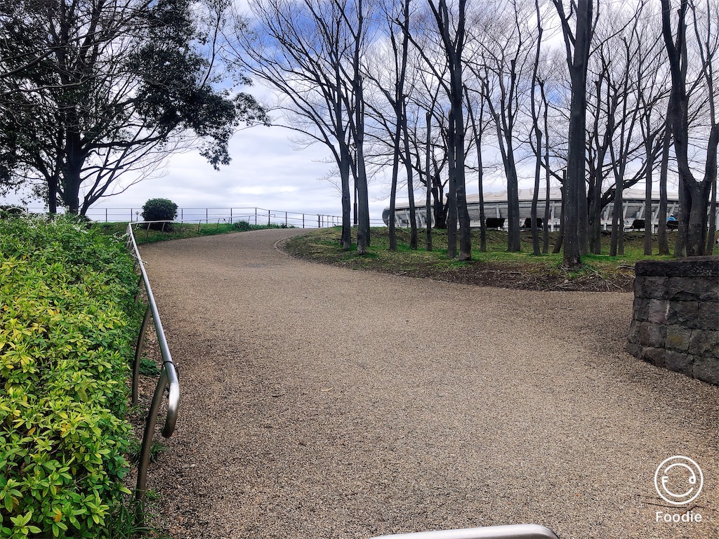 f:id:yokohamamura:20200315170908j:image f:id:yokohamamura:20200315170908j:image