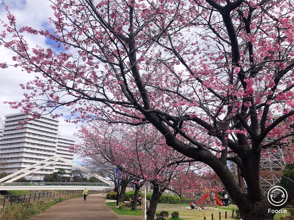 f:id:yokohamamura:20200315171205j:image f:id:yokohamamura:20200315171205j:image